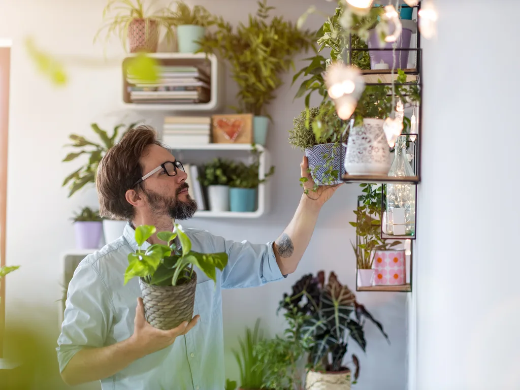 Health Benefits of Indoor Plants