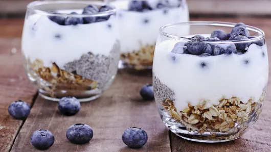 Everything You Need to Know About Probiotics